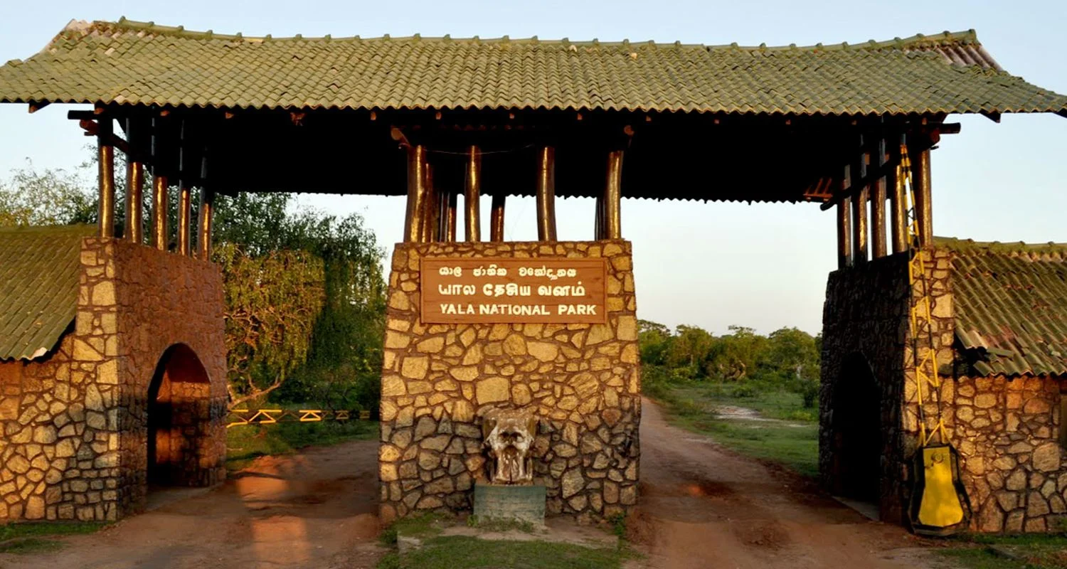 Yala National Park