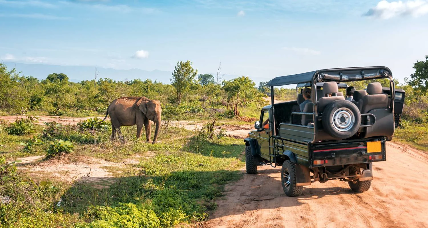 Ayurvedic Tour Sri Lanka