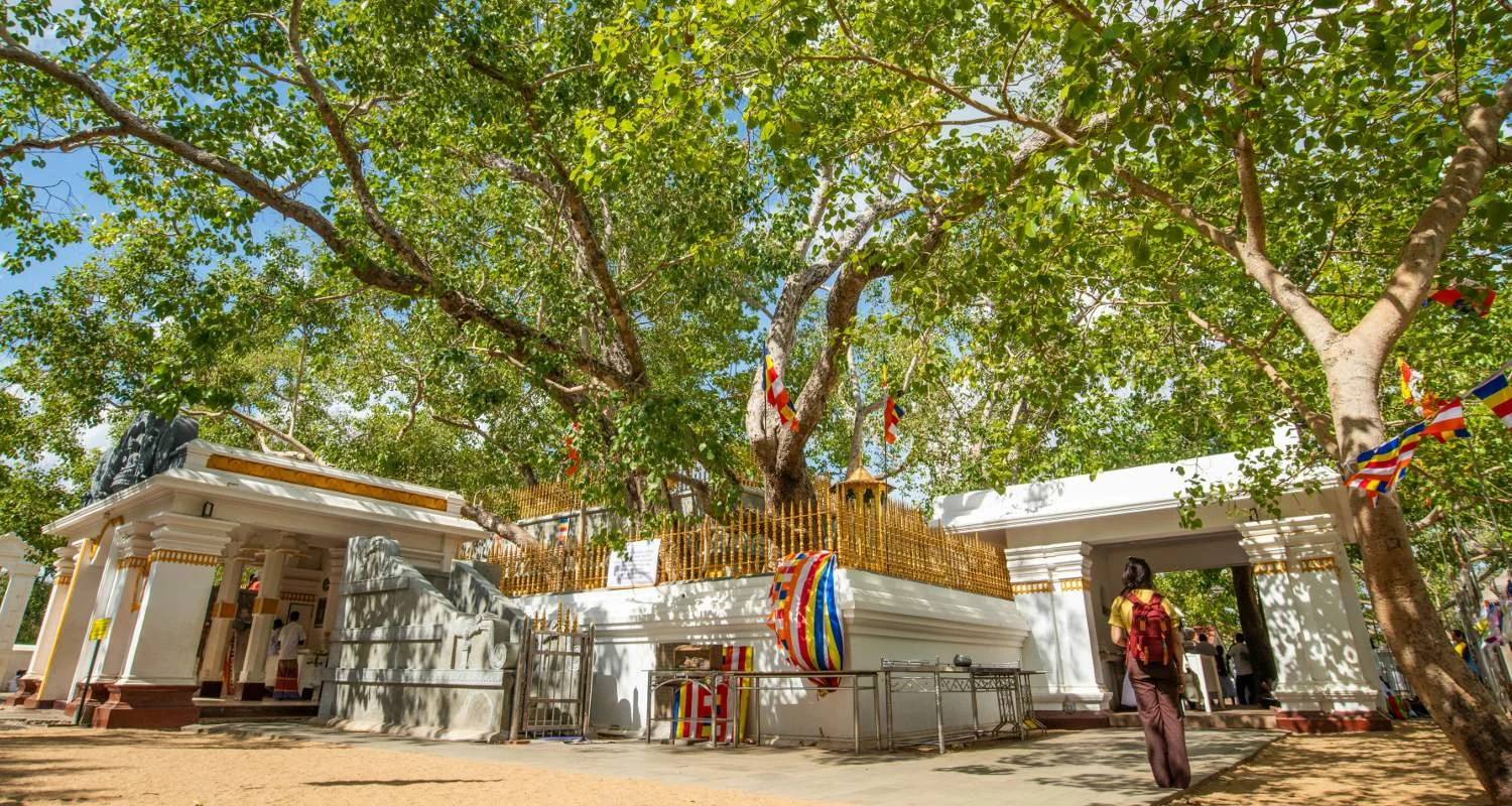 Sri Maha Bodhiya