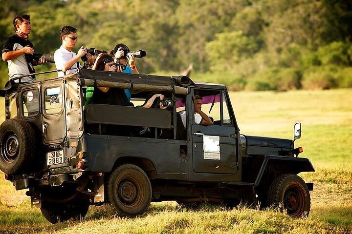 yala-national-park-safari-tour