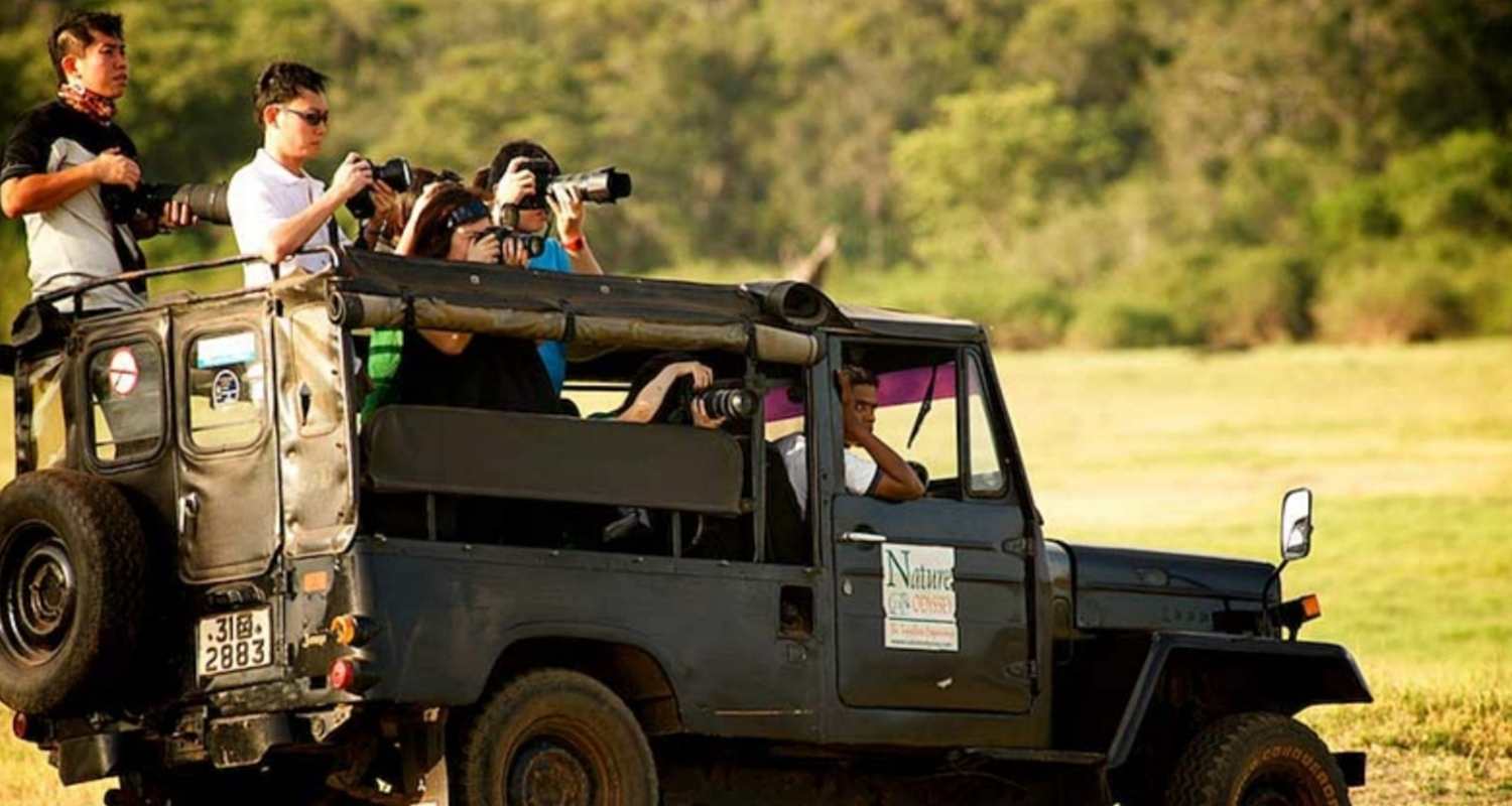 Yala National Park Safari